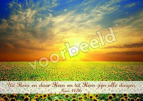 20-06 mix 10 hoogglans zonder envelop