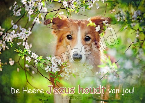 20-26 mix 10 hoogglans zonder envelop