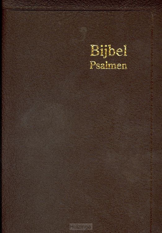 Herenzakbijbel H35 RITMISCH leer goudsn