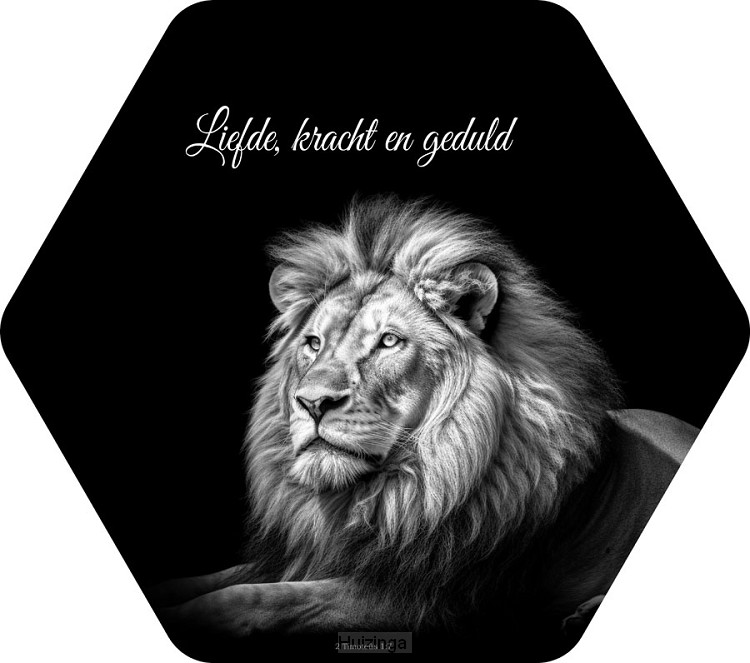 Liefde kracht en geduld Leeuw
