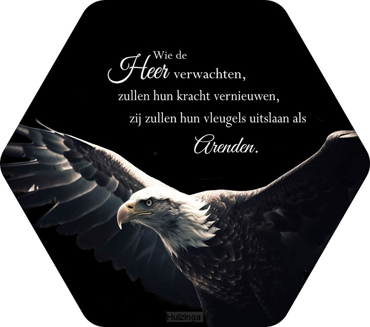 Wie de Heer verwachten Adelaar