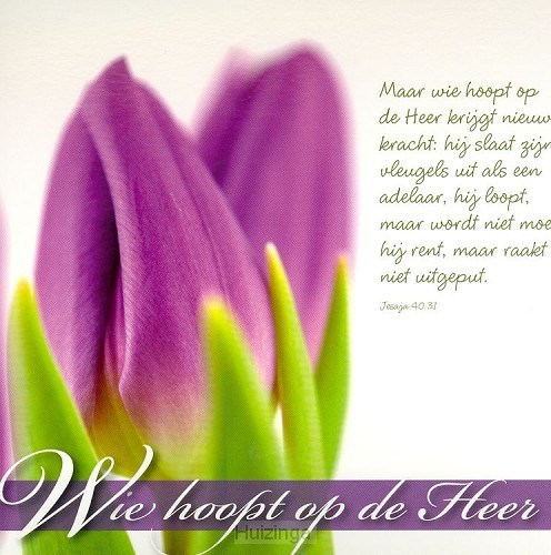 Prentbriefkaart wie hoopt op de Heer