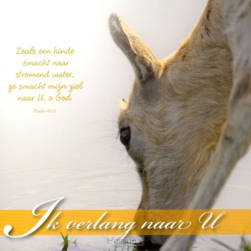 Wenskaart ik verlang naar U