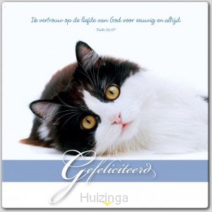 Prentbriefkaart gefeliciteerd