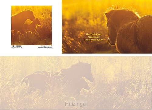 Panoramawenskaart nieuwjaarswens