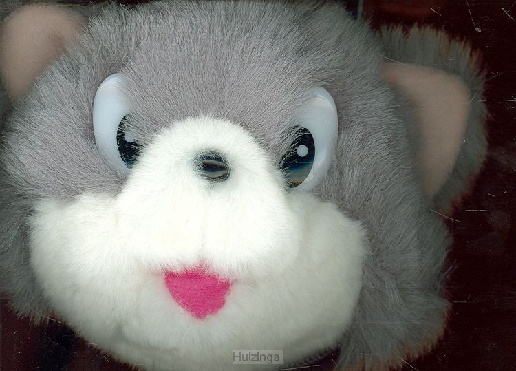 Plucheboekje poes set 3