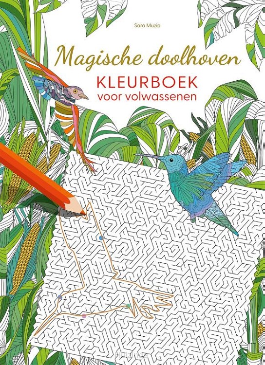 Magische doolhoven kleurboek voor volwas