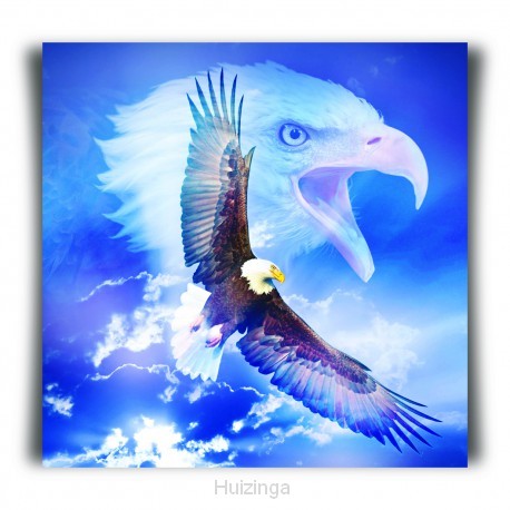 Choice kaartje arend