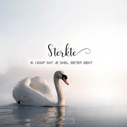 Kaart sterkte snel beter