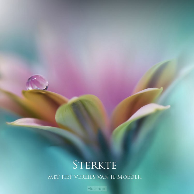 Kaart sterkte verlies moeder