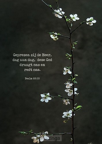 Geprezen zij de Heer