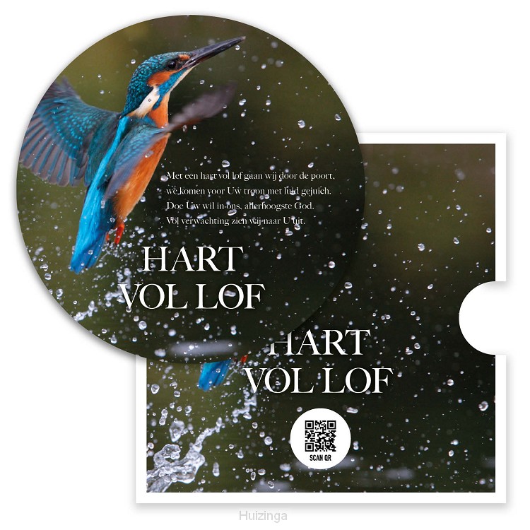 Opwekking 879 IJsvogel