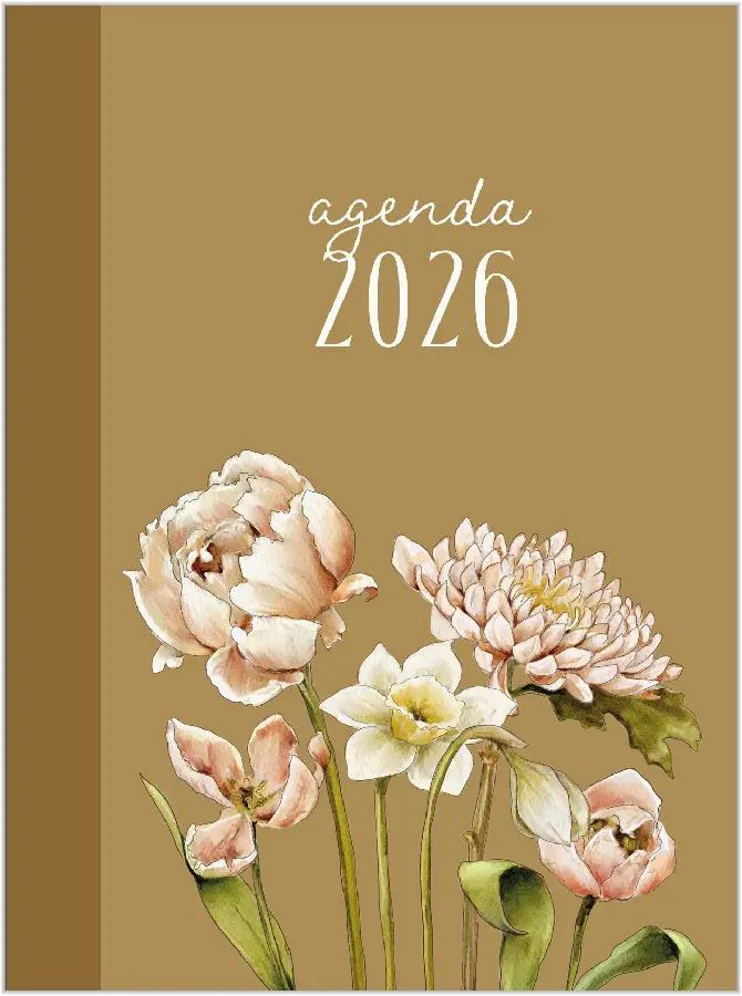 Agenda 2026 studio Schilderachtig