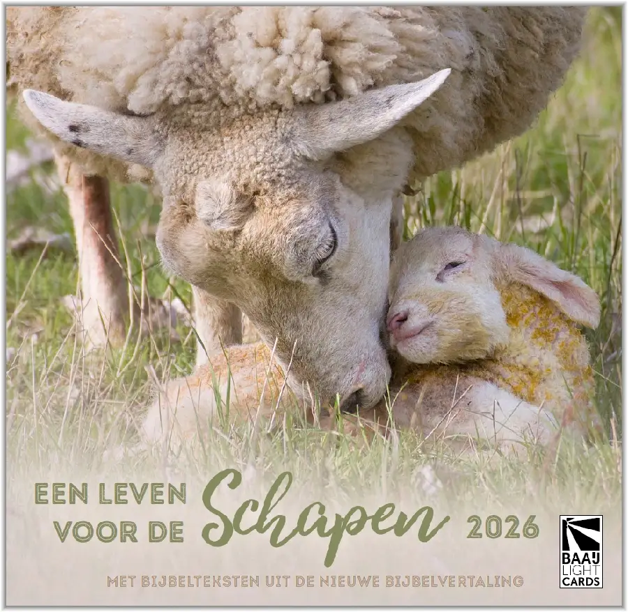 Een leven voor de schapen 2026