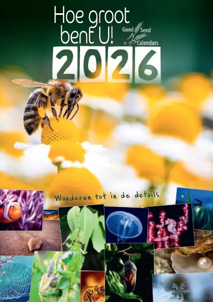 Posterkalender Hoe groot bent U! 2024