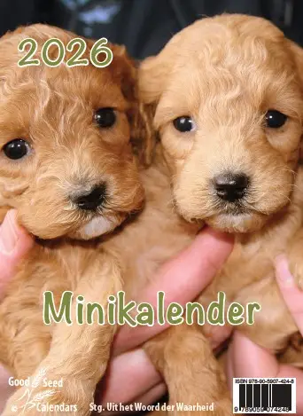 Minikalender 2024 met mooie afbeeldingen