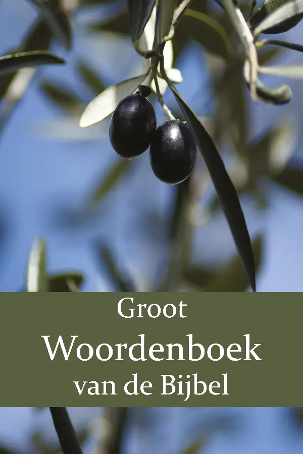 Groot Woordenboek van de Bijbel I-N