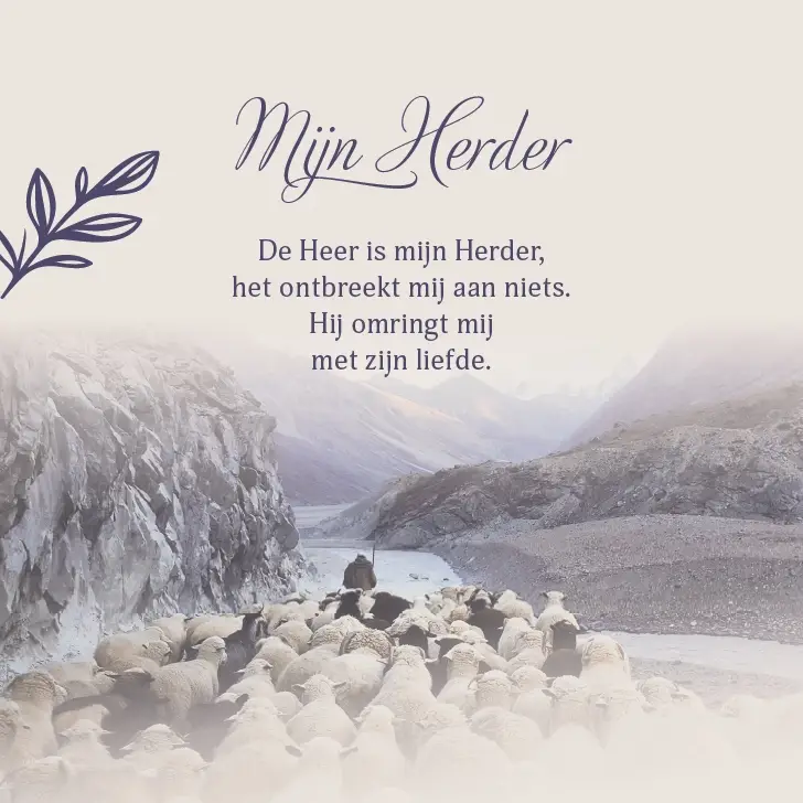 Enkele Kaart A Rainbow that shines