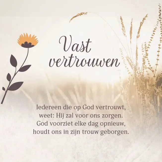 Enkele Kaart Vast Vertrouwen