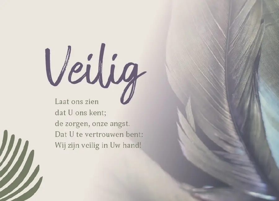 Enkele Kaart Veilig in Uw hand