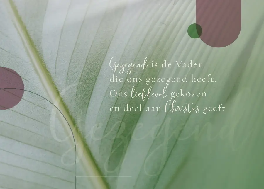 Enkele Kaart Gezegend is de Vader