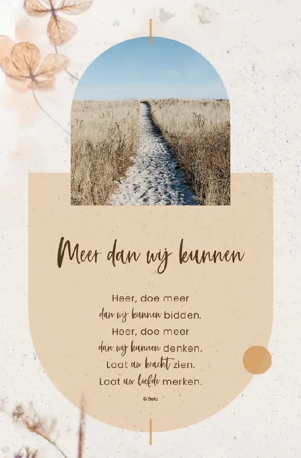 Enkele Kaart Meer dan wij kunnen