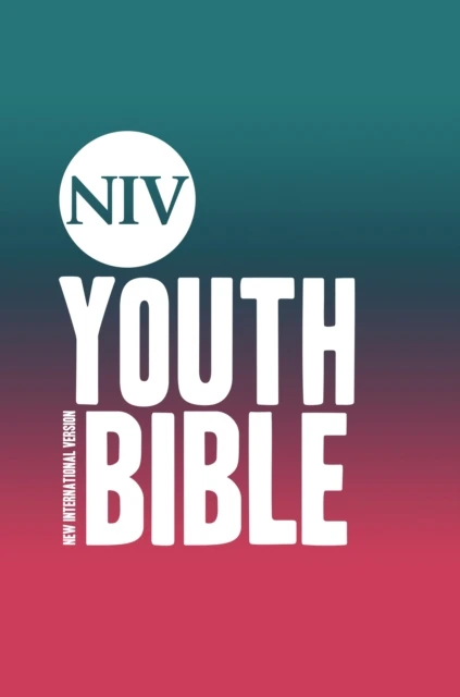 NIV Soul Survivor Youth Bible Colour HC