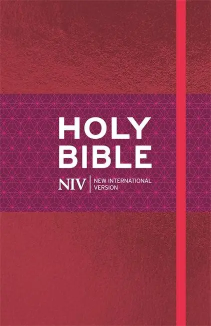 Holy BIBLE - NIV