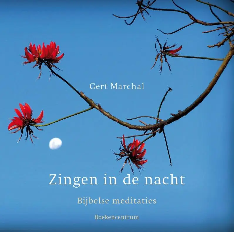 Zingen in de nacht